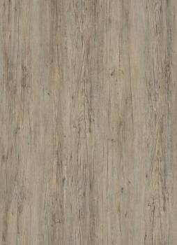 Joka - Designboden Klebevariante, Grey Pine 2834