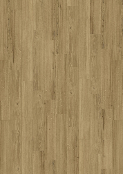 Joka - Deluxe Designboden Klebvariante Cycle 5381 Incredi.Cl.Oak